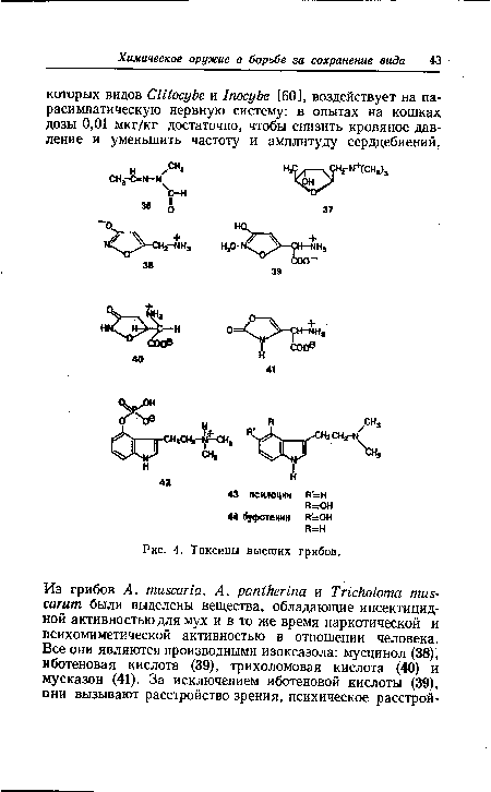 Токсины высших грибов.