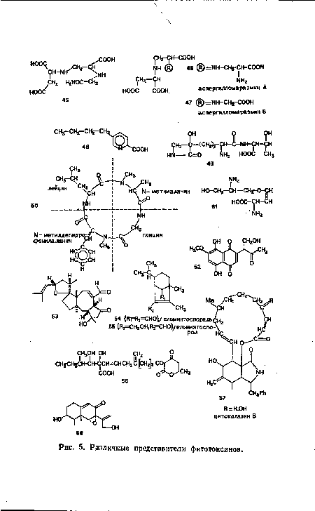 Различные представители фитотоксинов.