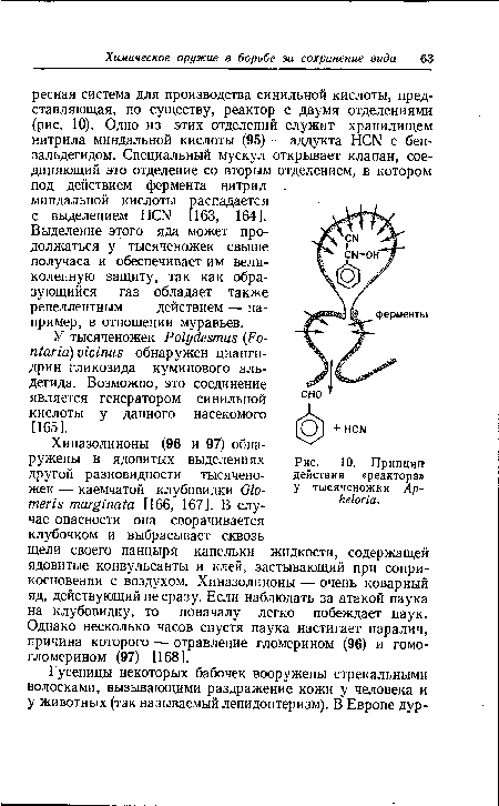 Принцип действия «реактора» у тысяченожки Ар-heloria.