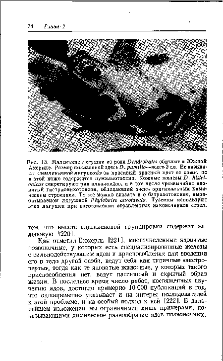 Как отметил Бюхерль [221 ], многочисленные ядовитые позвоночные, у которых есть специализированные железы с сильнодействующим ядом и приспособления для введения его в тело другой особи, ведут себя как типичные «экстро-верты», тогда как те ядовитые животные, у которых такого приспособления нет, ведут пассивный и скрытый образ жизни. В последнее время число работ, посвященных изучению ядов, достигло примерно 10 ООО публикаций в год, что одновременно указывает и на интерес исследователей к этой проблеме, и на особый подход к ней [222]. В дальнейшем изложении мы ограничимся лишь примерами, показывающими химическое разнообразие ядов позвоночных.