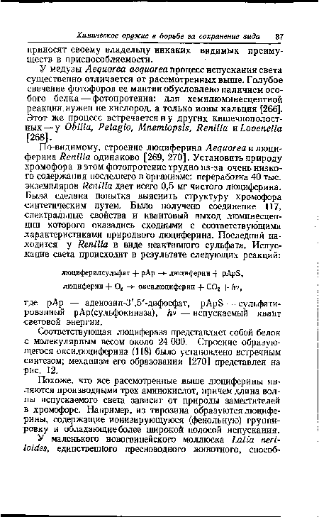 Соответствующая люцифераза представляет собой белок с молекулярным весом около 24 ООО. Строение образующегося оксилюциферина (118) было установлено встречным синтезом; механизм его образования [270] представлен на рис. 12.