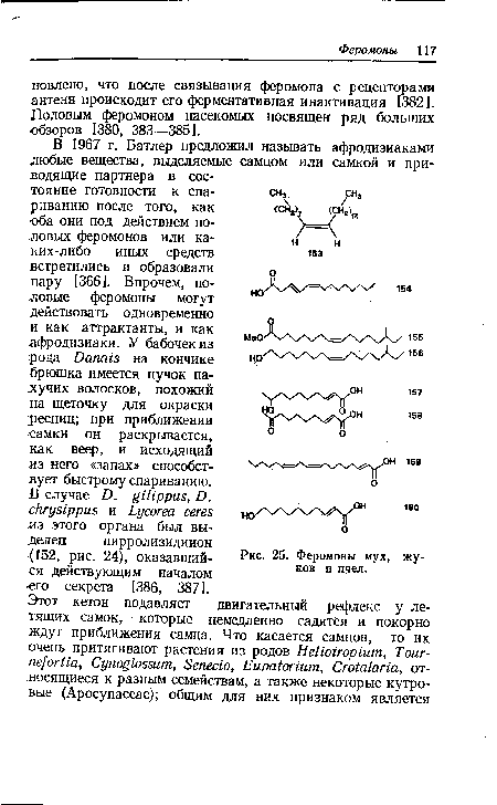 Феромоны мух, жуков и пчел.