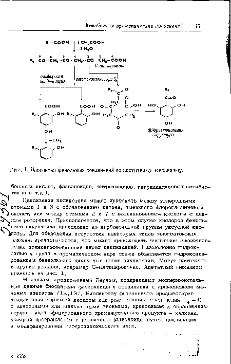 Биосинтез фенольных соединений по ацетатному механизму.