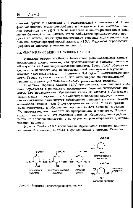 Биосинтез фенолкарбоновых кислот