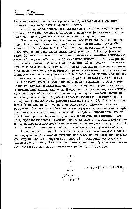 Исходным соединением при образовании лигнина служит, разумеется, двуокись углерода, которая в процессе фотосинтеза участвует во всех биохимических актах в живых организмах.