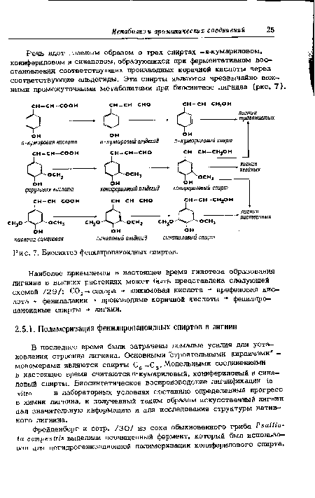 Речь идет главным образом о трех спиртах -п-кумариловом, конифериловом и синаповом, образующихся при ферментативном воо-становлении соответствующих производных коричной кислоты через соответствующие альдегиды. Эти спирты являются чрезвычайно важными промежуточными метаболитами при биосинтезе лигнина (рис. 7).