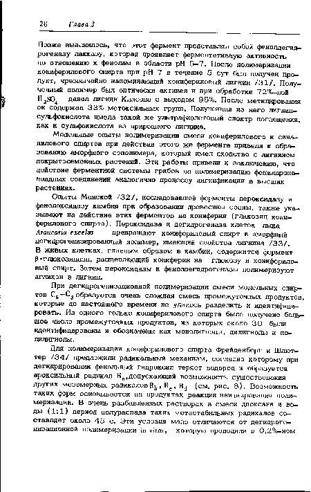 В живых клетках, главным образом в камбии, содержится фермент Р-глюкозидаза, расщепляющий кониферин на глюкозу и конифериловый спирт. Затем пероксидазы и фенолдегидрогеназы полимеризуют агликон в лигнин.