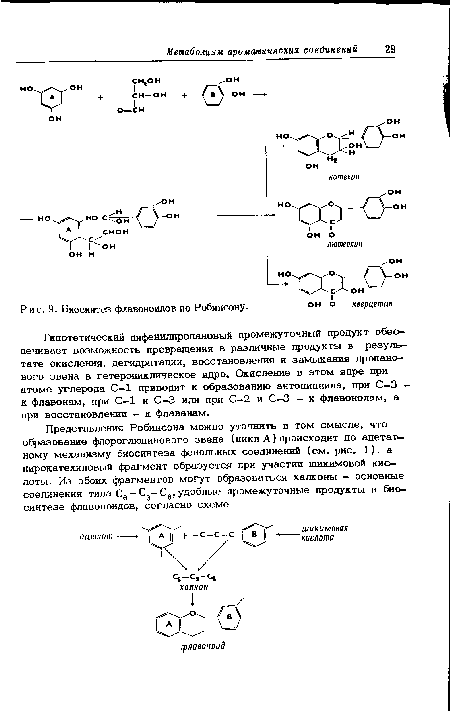 Биосинтез флавоноидов по Робинсону-