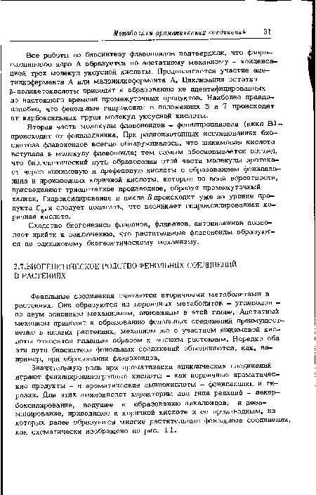 Вторая часть молекулы флавоноидов — фенилпропановая (цикл В) — происходит от фенилаланина. При радиоизотопных исследованиях биосинтеза флавоноидов всегда обнаруживалось, что шикимовая кислота вступала в молекулу флавоноида; тем самым обосновывается взгляд, что биогенетический путь образования этой части молекулы протекает через шикимовую и префеновую кислоты с образованием фенилаланина и производных коричной кислоты, которые по всей вероятности, присоединяют триацетатное производное, образуя промежуточный халкон. Гидроксилирование в цикле В происходит уже на уровне продукта С9» и следует полагать, что возникает гидроксилированная коричная кислота.