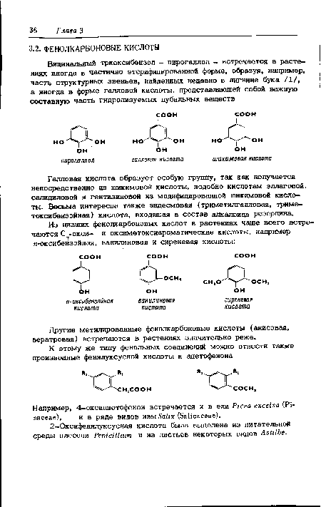 Другие метилированные фенолкарбоновые кислоты (анисовая, вератровая) встречаются в растениях значительно реже.