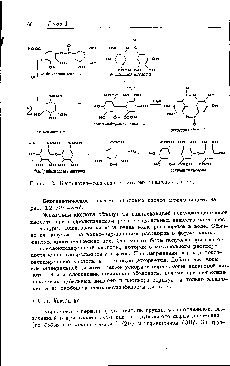 Биогенетическая связь некоторых эллаговых кислот.