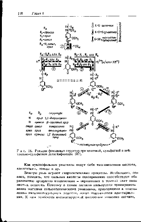 Реакции фенольных структур при щелочной, сульфатной и ней-трально-сульфитной делигнификации [87].