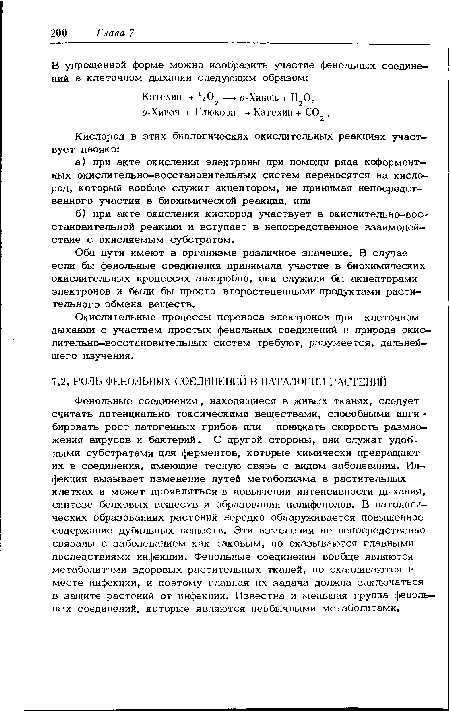 Окислительные процессы переноса электронов при клеточном дыхании с участием простых фенольных соединений и природа окислительно-восстановительных систем требуют, разумеется, дальнейшего изучения.