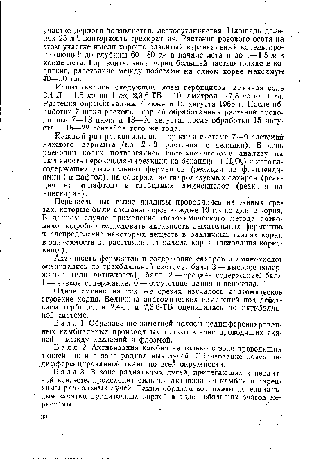 Каждый раз раскапывалась корневая система 7—9 растений каждого варианта (по 2—3 растения с делянки). В день раскопки корни подвергались гистохимическому анализу на активность пероксидазы (реакция на бензидин +Н2Ог) и металлсодержащих дыхательных ферментов (реакция на фениленди-амин + а-нафтол), на содержание гидролизуемых сахаров (реакция на а-нафтол) и свободных аминокислот (реакция на нингидрин).