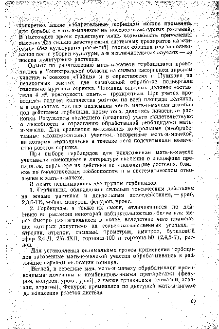 Для установления оптимальных сроков применения гербицидов засоренные мать-и-мачехой участки обрабатывались в различные периоды вегетации сорняка.