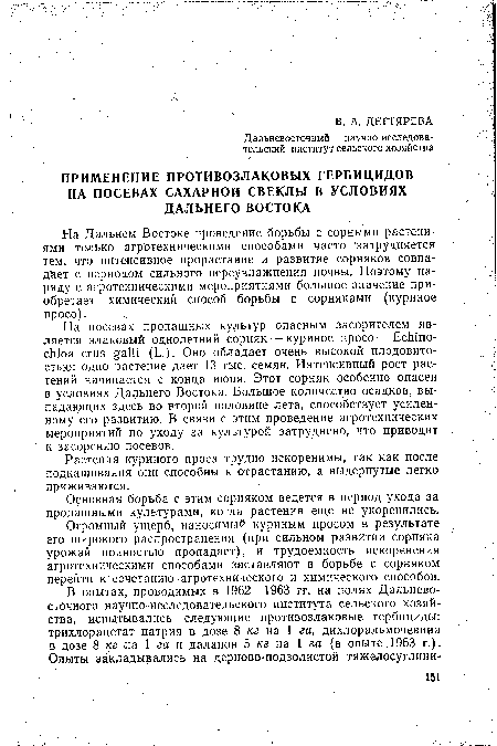 Огромный ущерб, наносимый куриным просом в результате его широкого распространения (при сильном развитии сорняка урожай полностью пропадает), и трудоемкость искоренения агротехническими способами заставляют в борьбе с сорняком перейти к сочетанию агротехнического и химического способов.