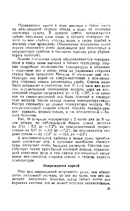 Так, 10 февраля температура с 2 часов дня до 9 часов вечера, по наблюдениям Микса, упала: воздуха на 5° (с —2,2 до —7,2°), на северо-восточной стороне ствола на 3,3° (с —3,9 до —7,2°), на юго-западной стороне ствола — на 17,4° (с +14,6 до —2,8°).