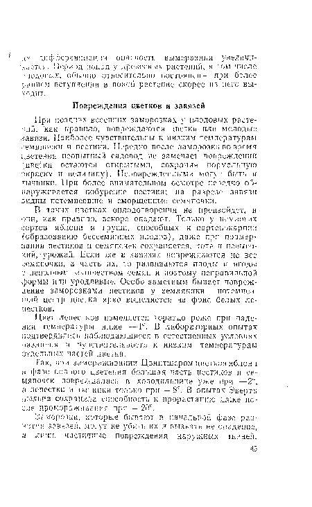 В таких цветках оплодотворения не произойдет, и они, как правило, вскоре опадают. Только у немногих сортов яблони и груши, способных к партекокарпии образованию бессемянных плодов), даже при подмерзании пестиков и семяпочек сохраняется, хотя и невысокий, урожай. Если же в завязях повреждаются не все семяпочки, а часть их, то развиваются плоды и ягоды с неполным количеством семян и поэтому неправильной формы или уродливые. Особо заметным бывает повреждение заморозками пестиков у земляники — потемневший центр цветка ярко выделяется на фоне белых лепестков.