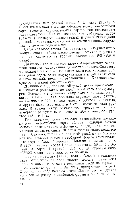 Сады колхозов имени Дзержинского и «Верный путь» Минусинского района расположены частично в речных долинах, частично на горных склонах (на 200—300 м выше).