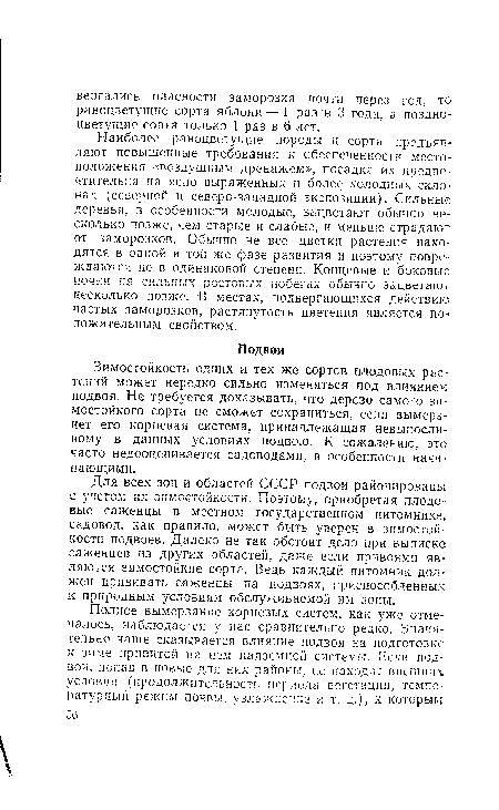 Для всех зон и областей СССР подвои районированы с учетом их зимостойкости. Поэтому, приобретая плодовые саженцы в местном государственном питомнике, садовод, как правило, может быть уверен в зимостойкости подвоев. Далеко не так обстоит дело при выписке саженцев из других областей, даже если привоями являются зимостойкие сорта. Ведь каждый питомник дол< жен прививать саженцы на подвоях, приспособленных к природным условиям обслуживаемой им зоны.