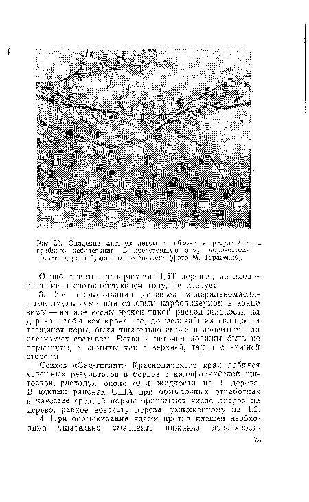 Совхоз «Сад-гигант» Краснодарского края добился успешных результатов в борьбе с калифорнийской щитовкой, расходуя около 70 л жидкости на 1 дерево. В южных районах США при обмывочных отработках в качестве средней нормы принимают число литров на дерево, равное возрасту дерева, умноженному на 1,2.