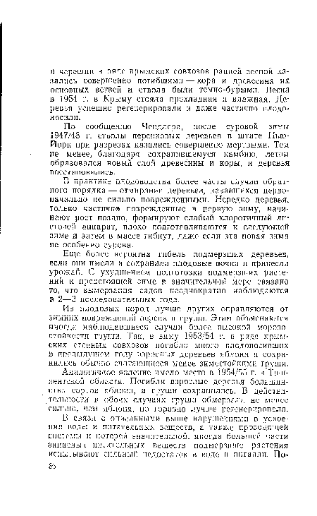 Аналогичное явление имело место в 1954/55 г. в Ташкентской области. Погибли взрослые деревья большинства сортов яблони, а груши сохранились. В действительности в обоих случаях груша обмерзала не менее сильно, чем яблоня, но гораздо лучше регенерировала.