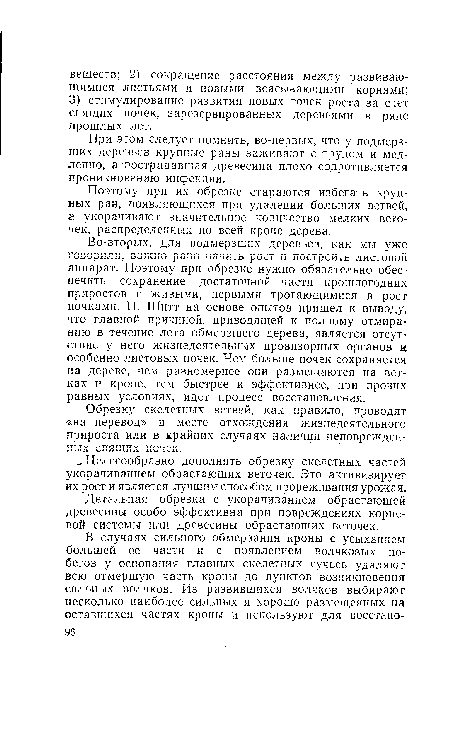 Поэтому при их обрезке стараются избегать крупных ран, появляющихся при удалении больших ветвей, а укорачивают значительное количество мелких вето-чек, распределенных по всей кроне дерева.