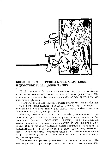 По продолжительности жизни, способу размножения и особенностям развития главнейшие сорные растения делят на однолетние (яровые, зимующие, озимые), размножающиеся только семенами и заканчивающие цикл своего развития в течение одного года; двухлетние, размножающиеся семенами и заканчивающие цикл развития в течение двух лет; многолетние (корневищевые, корнеотпрысковые, стержне-коряевые и др.), размножающиеся семенами и подземными органами, и еорн яки-паразиты.