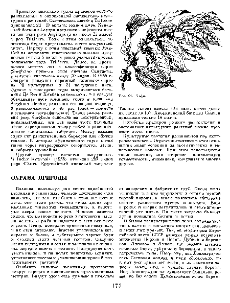 Культурные растения развиваются под контролем человека. Огромное значение в этом отношении имеет селекция на экологических и генетических основах. При этом используются такие явления, как гетерозис, полиплоидия совместимость, апомиксис, иммунитет и многие другие.