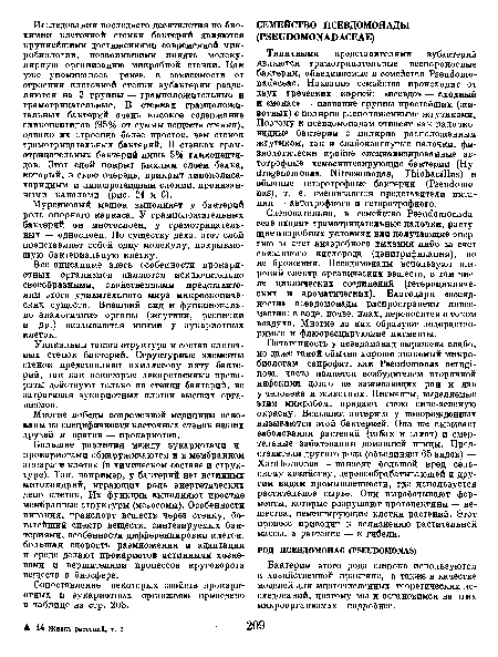 Следовательно, в семейство Pseudomonada-сеае входят грамотрицательные палочки, растущие в аэробных условиях или получающие энергию за счет анаэробного дыхания либо за счет связанного кислорода (денитрификация), но не брожения. Псевдомонады используют широкий спектр органических веществ, в том числе циклических соединений (гетероциклических и ароматических). Благодаря «всеядности» псевдомонады распространены повсеместно: в воде, почве, илах, переносятся с током воздуха. Многие из них образуют водорастворимые и флюоресцирующие пигменты.