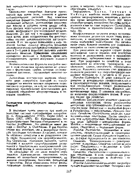 Порядок Clostridiales. К нему относятся подвижные и неподвижные грамположительные и грамотрицательные палочки, раздувающиеся при спорообразовании. Споры расположены центрально и субтерминально. Имеются пигментированные виды. В основном анаэробные, но возможны факультативные формы. В порядок входят два семейства.