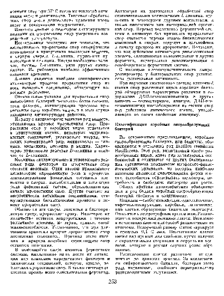 Расположение клеток различное — от одиночных до длинных цепочек. За исключением сибиреязвенного бацилла, бактерии этого рода подвижные, снабжены перитрихиально расположенными жгутиками.