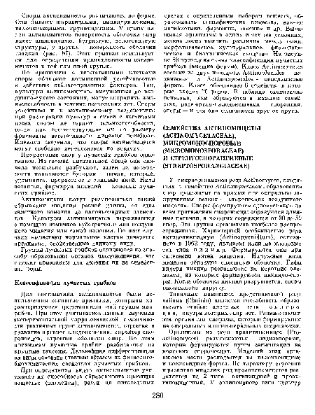 Для систематики актиномицетов были использованы основные признаки, которыми характеризуются представители этой группы микробов. При этом учитывались данные изучения экспериментальной морфологической изменчивости различных групп антиномицетов, строение и развитие органов плодоношения, характер спо-роносцев, строение оболочки спор. По этим признакам лучистые грибки разбиваются на крупные таксоны. Дальнейшая дифференциация на виды основана главным образом на физиологобиохимических свойствах лучистых грибков.