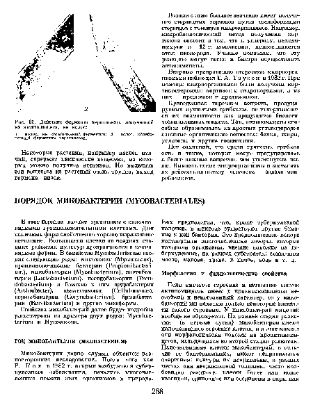 Действие фермента кератиназы, полученной из актиномицета, на волос