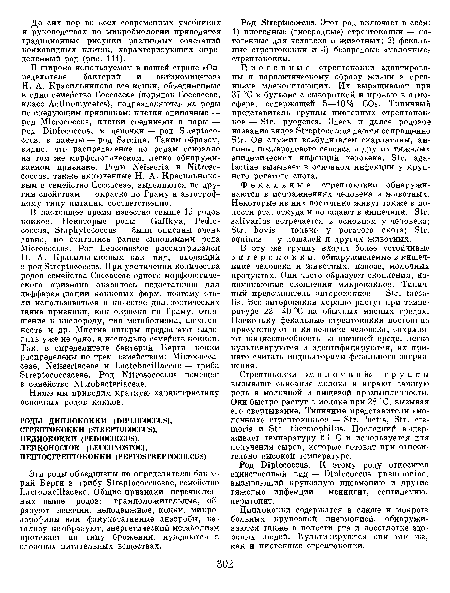 Род Streptococcus. Этот род включает в себя: 1) пиогенные (гноеродные) стрептококки — патогенные для человека и животных; 2) фекальные стрептококки и 3) безвредные «молочные» стрептококки.