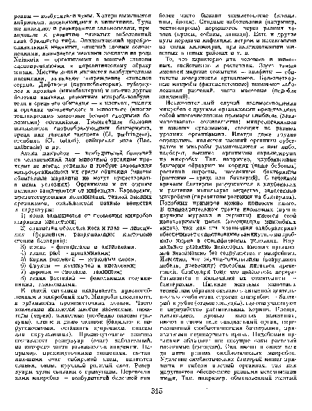 То, что характерно для человека и животных, свойственно и растениям. Здесь также имеются мирные сожители — эпифиты — обитатели поверхности организмов. Болезнетворные микробы (фитопатогенные) вызывают заболевания растений, часто массовые (подобие эпидемий).