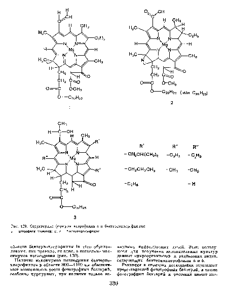 Структурные формулы хлорофилла а п бактерпохлорофнллов