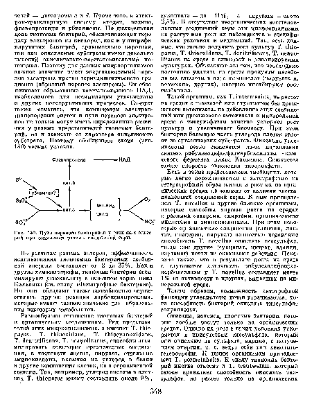 Пути переноса электронов у тионовых бактерий ири окислении разных соединений серы.