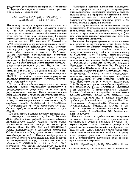 Имеющиеся данные позволяют заключить, что автотрофные и некоторые гетеротрофные микроорганизмы принимают участие в превращениях железа в природе, в частности в образовании железистых отложений, из которых формируются осадочпые железные руды в болотах, озерах и других водоемах.