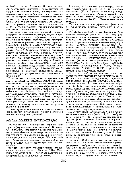 Рэ. а1 ас!епз. Возбудитель базального бактериоза пшеницы (табл. 45, 1, 2). Этот возбудитель, кроме пшеницы, поражает ячмень и рожь. Болезнь распространяется с помощью семян. Пораженные семена недоразвитые, обугленные, зародыш погибает. Возбудитель вызывает гнилостные процессы у растений. Бактериоз проявляется на зернах, чешуях колосков и листьях. Развитие болезни происходит при пониженной и повышенной влажности весной и летом. При эпифитотической форме проявления (на поверхности растения) бактериоза поражается до 10—80% колосьев. Базальный бактериоз распространен в США, Канаде, Австралии, Африке. В СССР встречается в южных и юго-восточных районах.