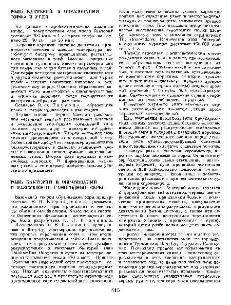 Шор-Су относится к эпигенетическим месторождениям серы, т. е. к таким, где отложения серы образовались позднее вмещающих их горных пород. Сингенетические месторождения, в которых сера отлагалась одновременно со вмещающими породами, очевидно, произошли в результате диагенеза (процесса превращения осадков в горные породы) осадков древних водоемов, в которых шла сульфатредук-ция. Сингенетическое отложение серы в современных водоемах наблюдать не удалось.