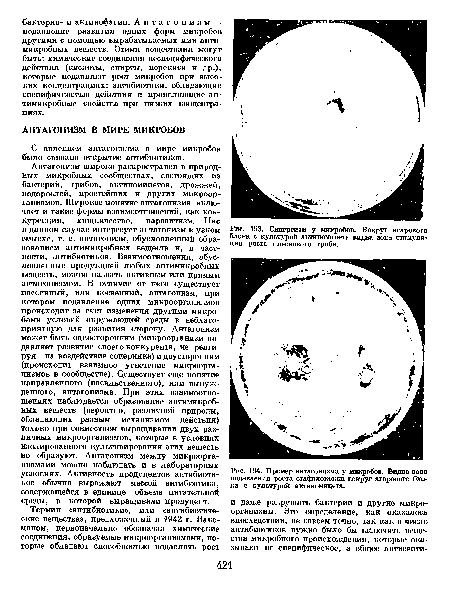 Микробного антагонизма схема