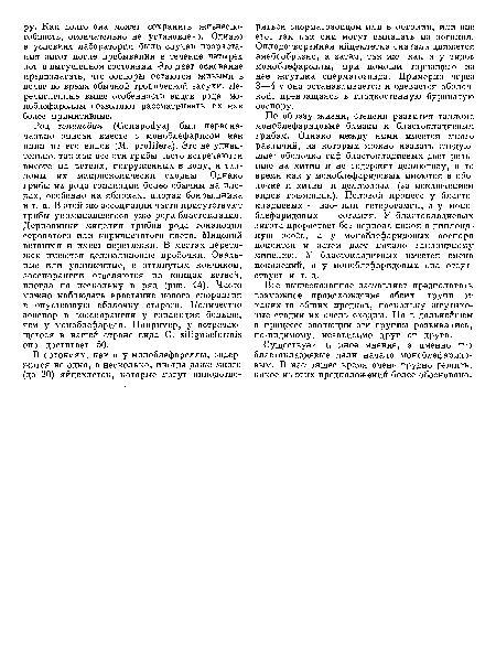 По образу жизни, степени развития таллома моноблефаридовые близки к бластокладиевым грибам. Однако между ними имеется много различий, из которых можно назвать следующие: оболочка гиф бластокладиевых дает реакцию на хитин и не содержит целлюлозу, в то время как у моноблефаридовых имеются в оболочке и хитин и целлюлоза (за исключением видов гоноподия). Половой процесс у бластокладиевых — изо- или гетерогамия, а у моноблефаридовых — оогамия. У бластокладиевых зигота прорастает без периода покоя в диплоидную особь, а у моноблефаридовых ооспора покоится и затем дает начало гаплоидному мицелию. У бластокладиевых имеется смена поколений, а у моноблефаридовых она отсутствует и т. д.