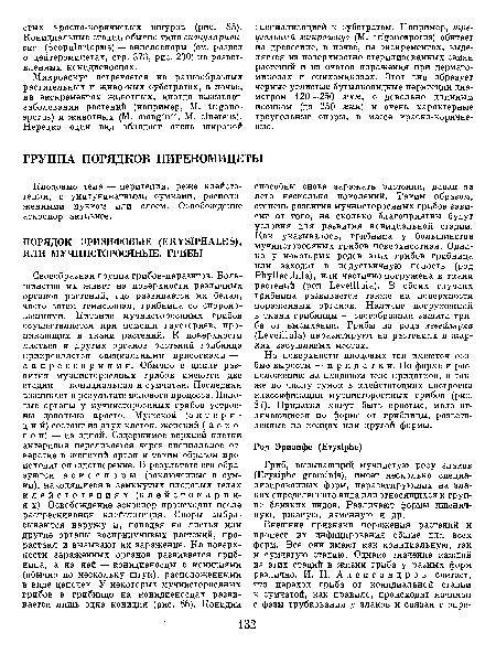 Плодовые тела — перитеции, реже клейсто-теции, с унитуникатными сумками, расположенными пучком или слоем. Освобождение аскоспор активное.