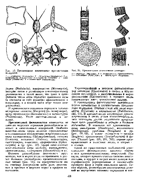 Пресноводные планктонные диатомеи