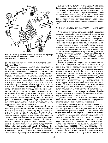 Высшие растения, вероятпо, произошли от каких-то водорослей. Об этом говорит прежде всего то, что в геологической истории растительного мира эре высших растений предшествовала эра водорослей. В пользу этого предположения также свидетельствуют, например, следующие факты: 1) сходство наиболее древней и уже давно вымершей группы высших растений — риниофитов — с водорослями и, в частности, очень сходный характер их ветвления; 2) сходство в чередовании «поколений» высших растений и многих водорослей; 3) наличие жгутиков и способность к самостоятельному плаванию у мужских половых клеток многих высших растений; 4) сходство в строении и функциях хлоропластов.