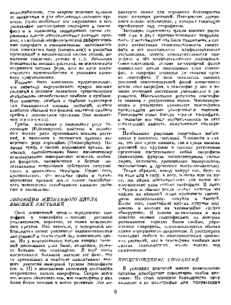 Грибы, относимые к вымершему роду па-леомицес (РаЫеотусеэ), найдены в подземных частях ряда древнейших высших растений, в частности в подземных органах вымершего рода хорнеофит, (НогпеорЬу п). Наличие гриба в тканях подземного органа, вероятно, способствовало более интенсивному использованию минеральных веществ, особенно фосфатов, заключенных в бедных питательными веществами субстратах силурийского и девонского периодов. Кроме того, предполагают, что наличие гриба в тканях подземных органов могло также способствовать повышению устойчивости высшего растения к засыханию.