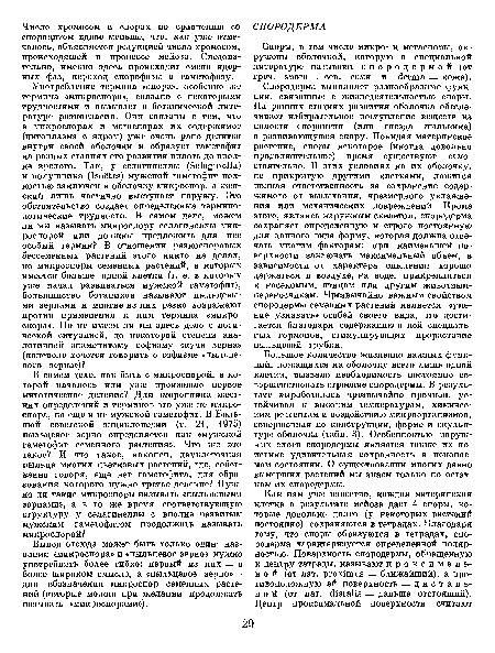 Споры, в том числе микро- и мегаспоры, окружены оболочкой, которую в специальной литературе называют спородермой (от греч. spora — сев, семя и derma — кожа).