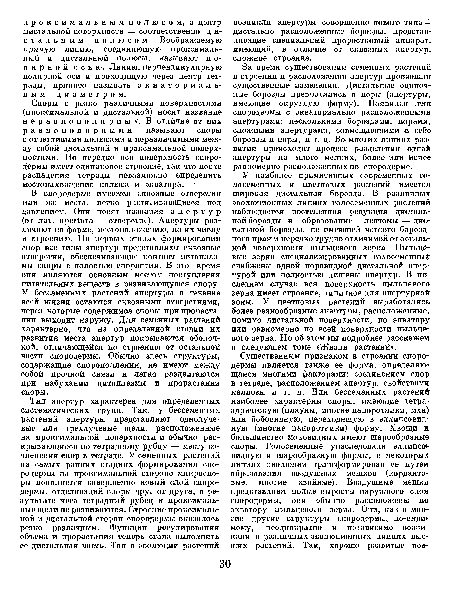 Споры с резко различными поверхностями (проксимальной и дистальной) носят название неравнополярных. В отличие от них равнополярными называют споры с отчетливыми полюсами и неразличимыми между собой дистальной и проксимальной поверхностями. Но нередко вся поверхность спородермы имеет одинаковое строение, так что после распадения тетрады невозможно определить местонахождение полюса и экватора.