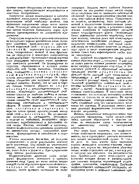 Интина эластична, бесцветна, не содержит спорополленин и легко разрушается химическими реагентами. Она состоит из целлюлозной основы, пропитанной пектиновыми веществами, имеет белки и ферменты. При прорастании спор интина растягивается.